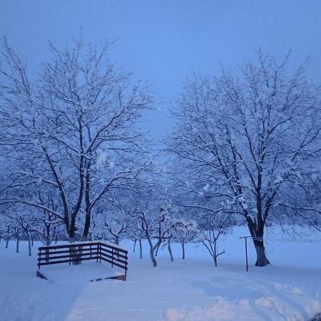 Apartman Plum Plitvice Drežnik Grad Esterno foto