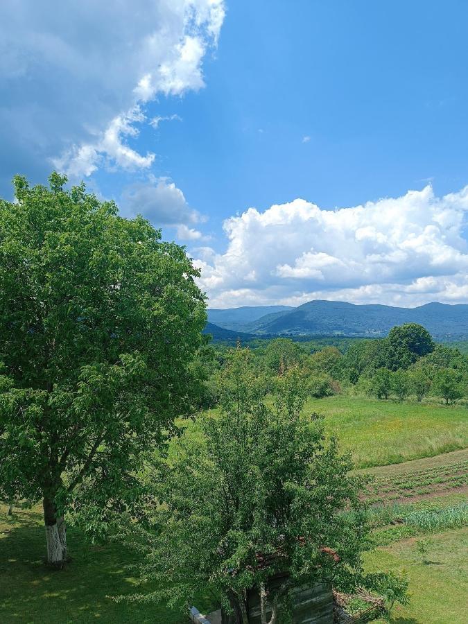Apartman Plum Plitvice Drežnik Grad Esterno foto